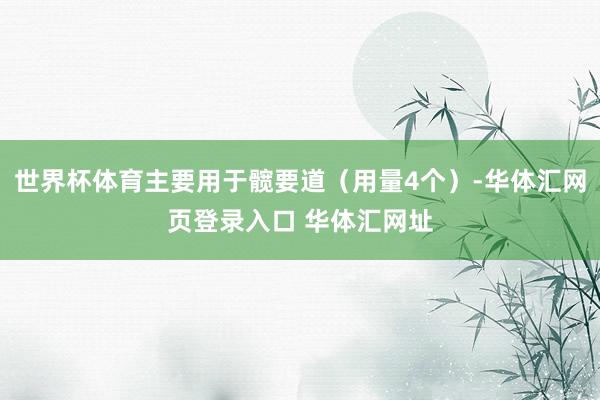 世界杯体育主要用于髋要道（用量4个）-华体汇网页登录入口 华体汇网址
