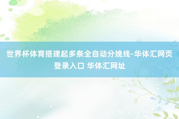 世界杯体育搭建起多条全自动分娩线-华体汇网页登录入口 华体汇网址