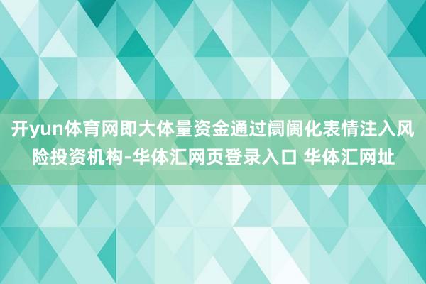 开yun体育网即大体量资金通过阛阓化表情注入风险投资机构-华体汇网页登录入口 华体汇网址